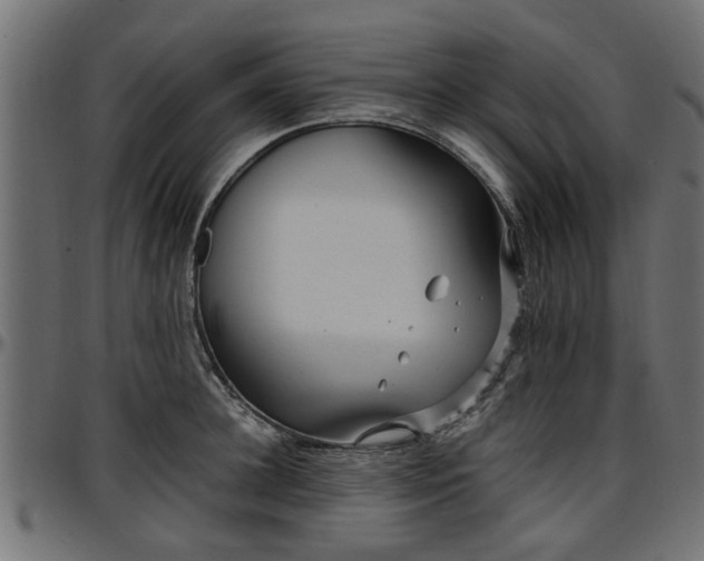 X0000096730948200802121311