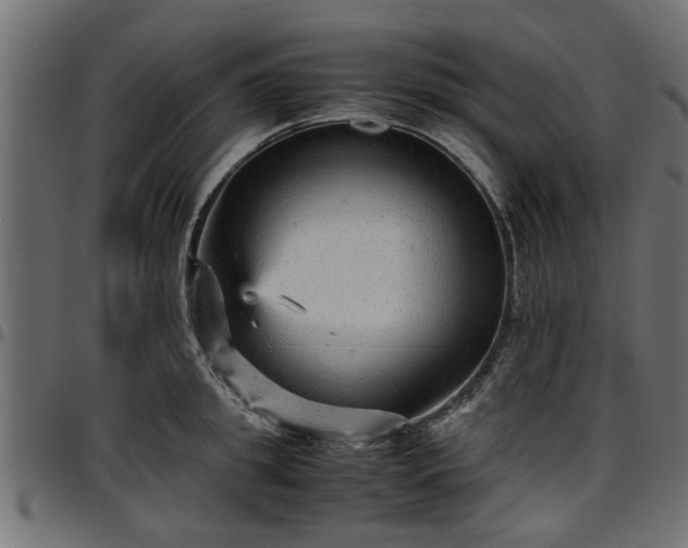 X0000096730949200802121311