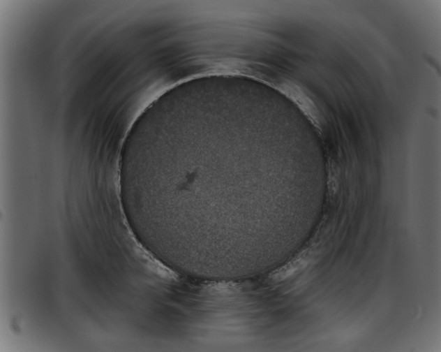 X0000096730950200802121311