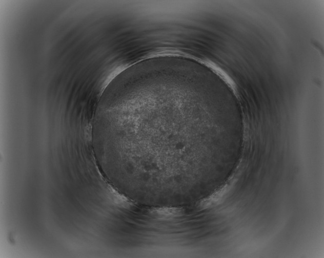 X0000096730953200802121311