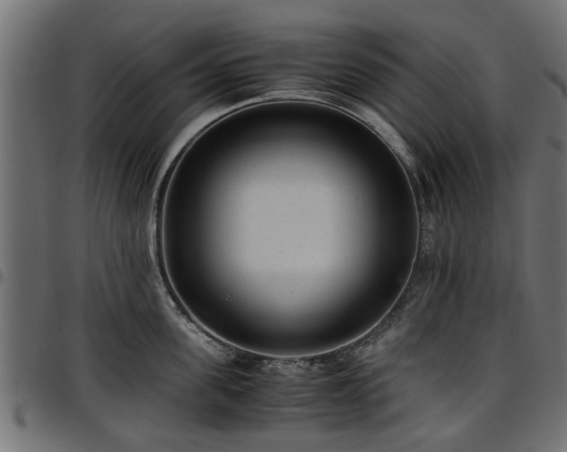 X0000096730955200802121311