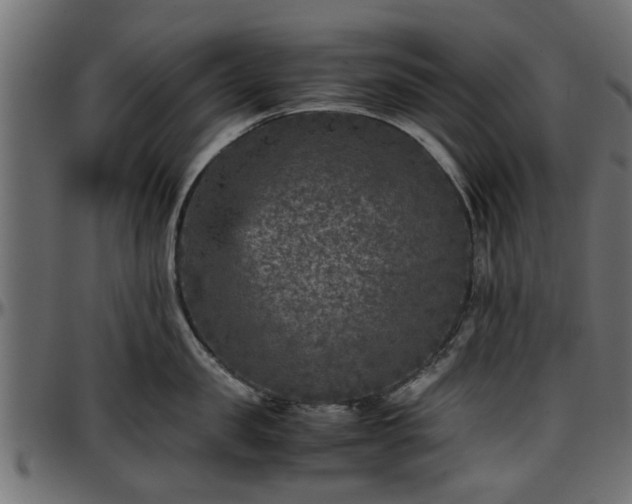 X0000096730957200802121312