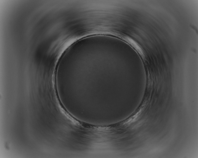 X0000096730958200802121312