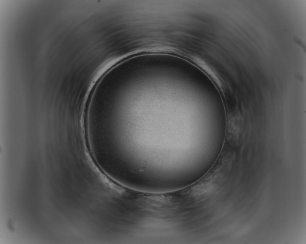 X0000096730959200802121312