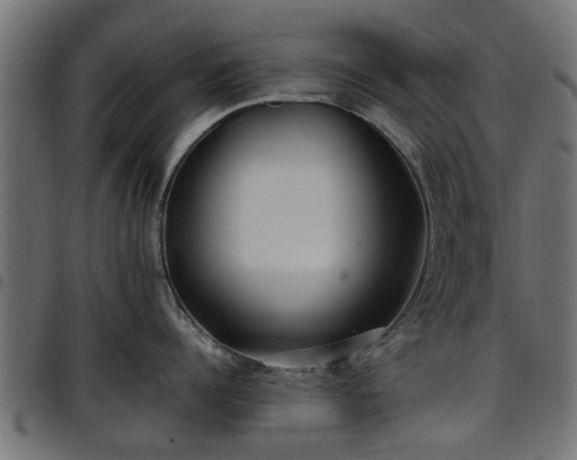 X0000096730960200802121312