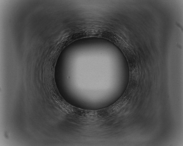 X0000096730961200802121311