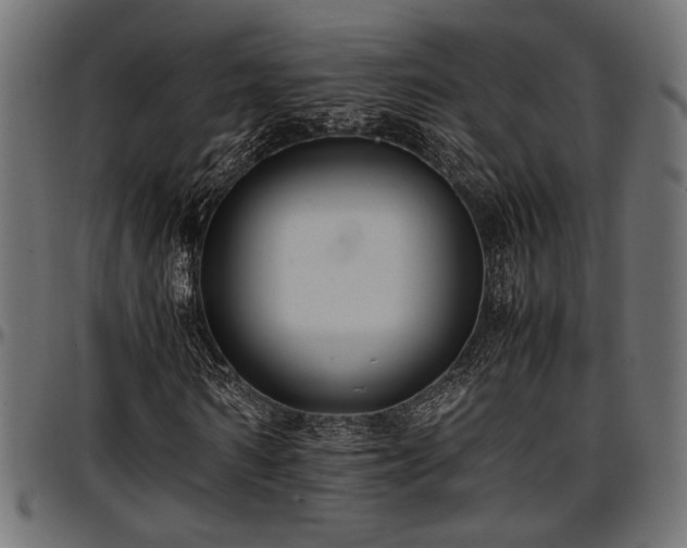 X0000096730962200802121311