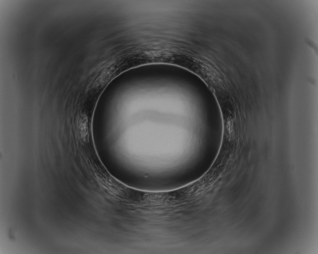 X0000096730963200802121311