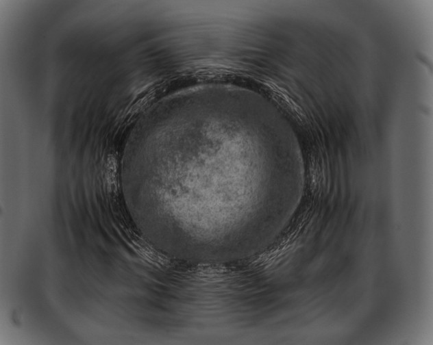 X0000096730964200802121311