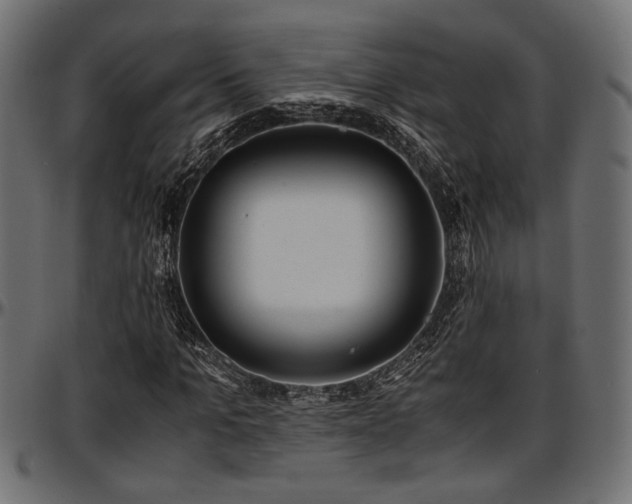 X0000096730965200802121311