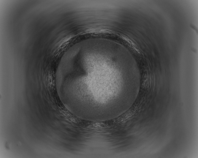X0000096730966200802121311