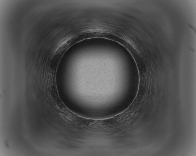 X0000096730967200802121311