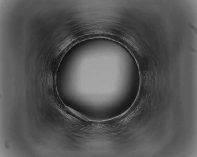 X0000096730969200802121311