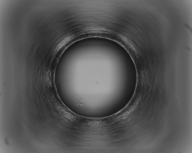 X0000096730970200802121311