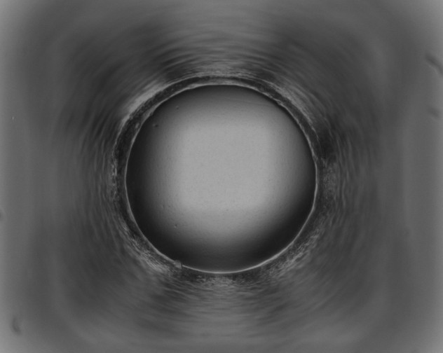 X0000096730971200802121311