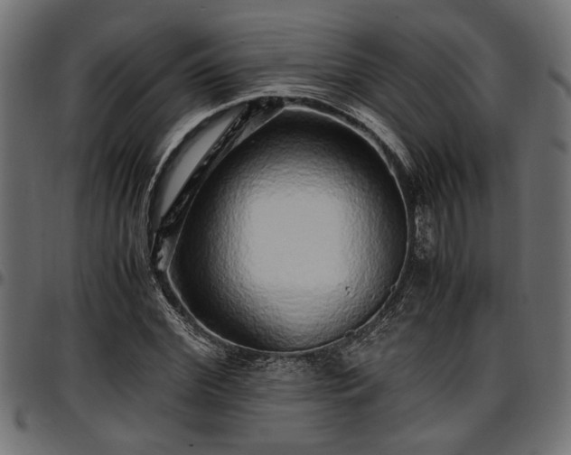 X0000096730972200802121311