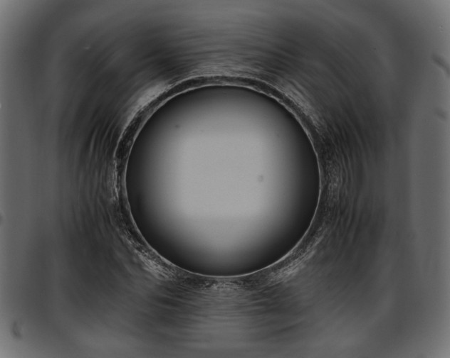 X0000096730974200802121310