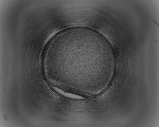 X0000096730975200802121310