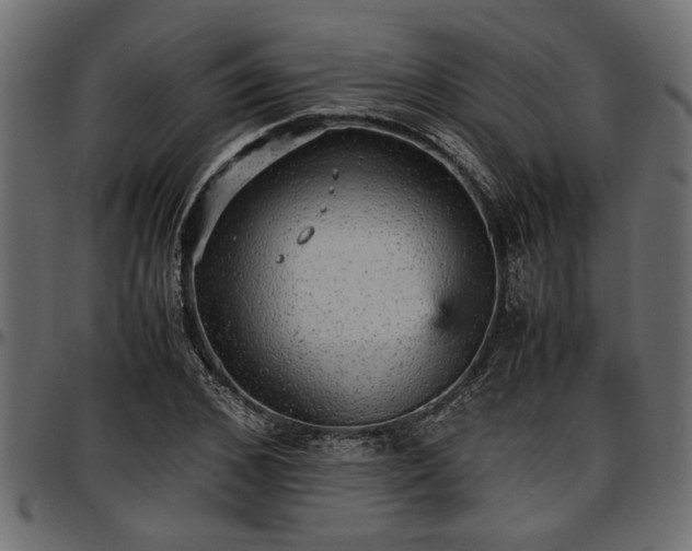 X0000096730976200802121310