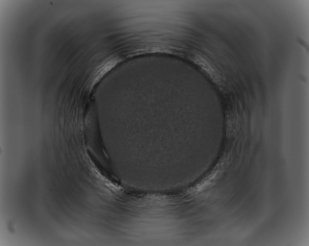 X0000096730977200802121310