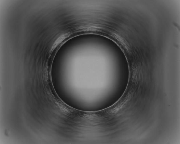 X0000096730978200802121310