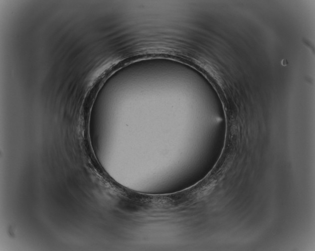 X0000096730979200802121310