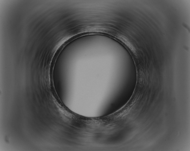 X0000096730980200802121310