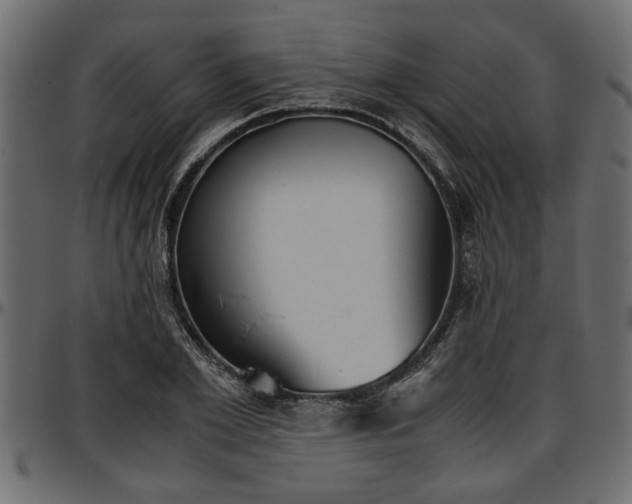 X0000096730981200802121310