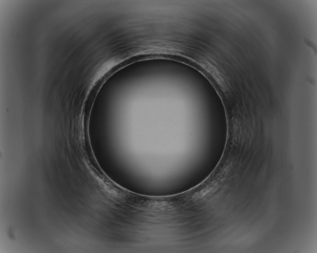 X0000096730982200802121310