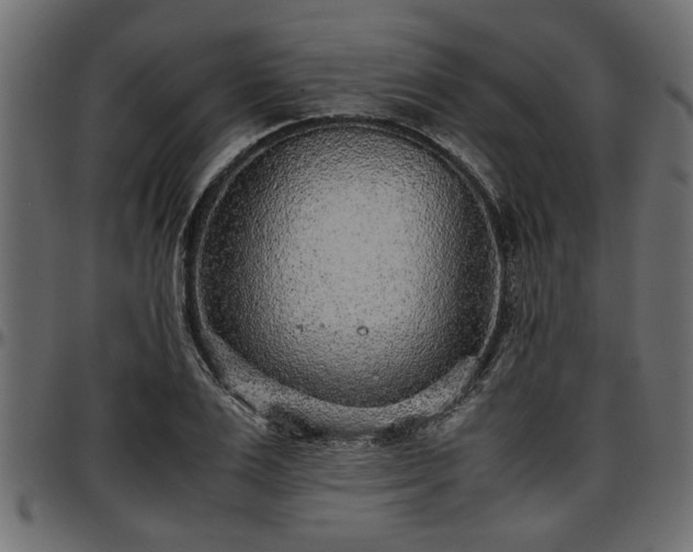 X0000096730983200802121310