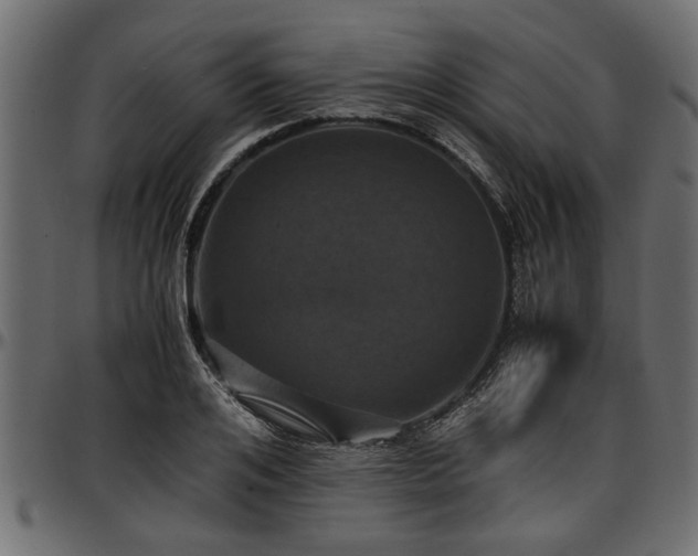 X0000096730984200802121310