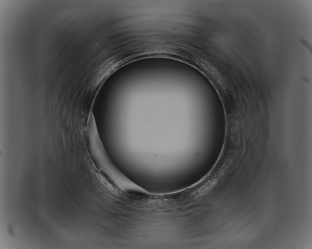 X0000096730985200802121310