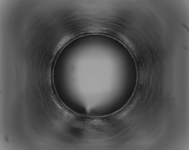 X0000096730986200802121310
