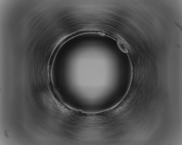X0000096730988200802121310