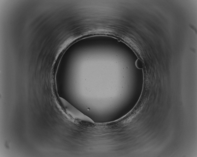 X0000096730989200802121310