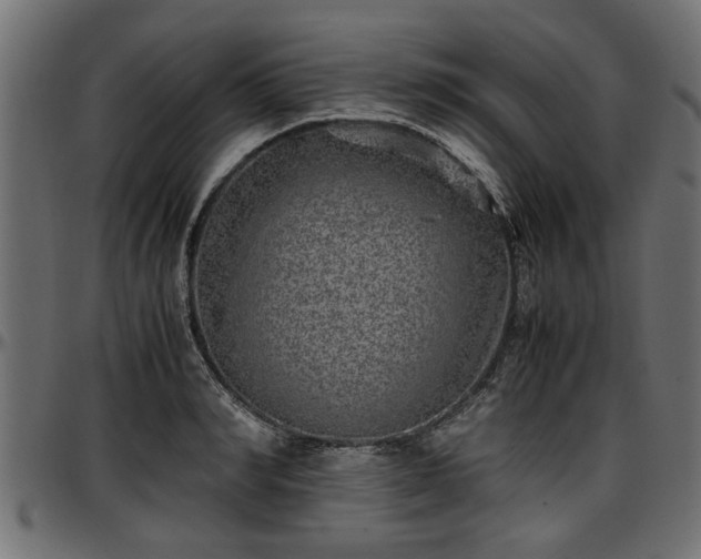 X0000096730990200802121310