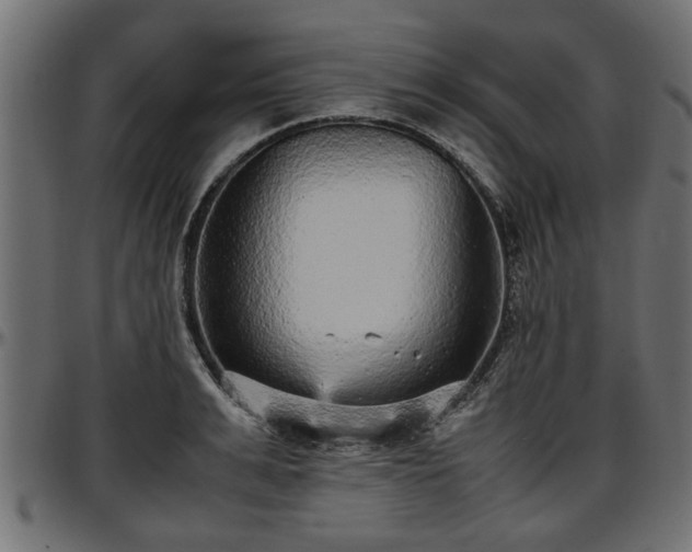 X0000096730991200802121310