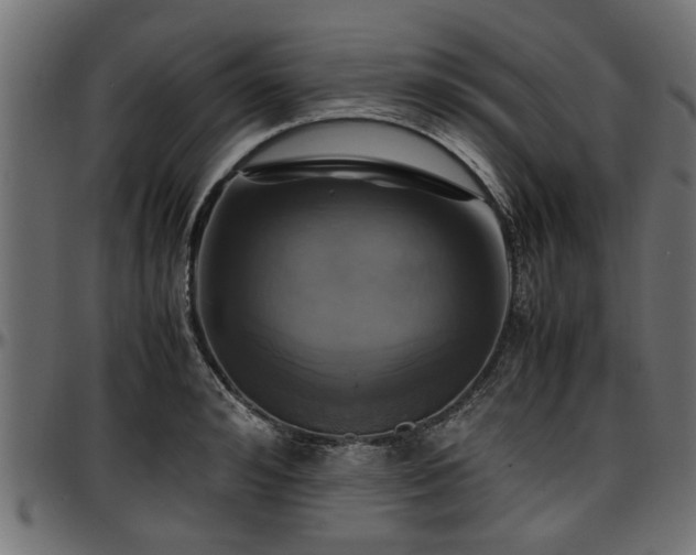 X0000096730992200802121310