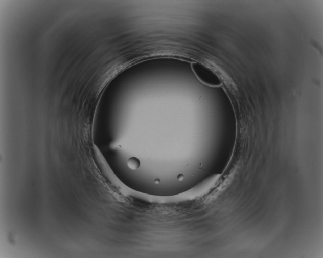 X0000096730993200802121310
