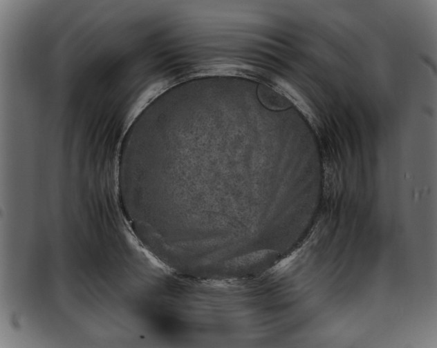 X0000096730994200802121310