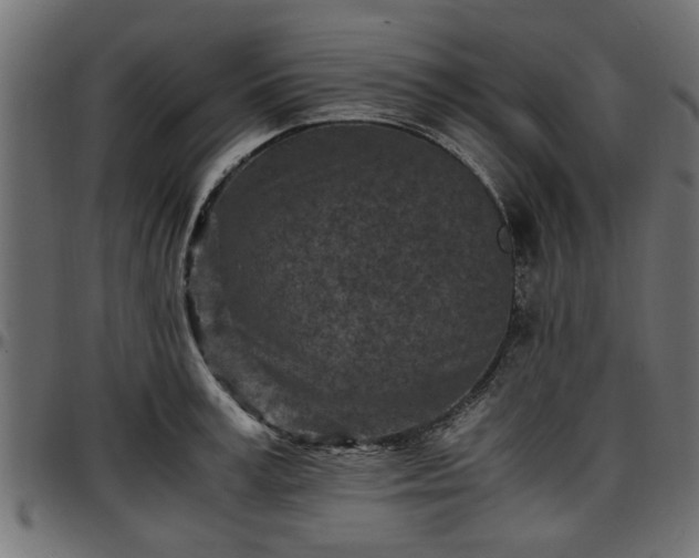 X0000096730995200802121310