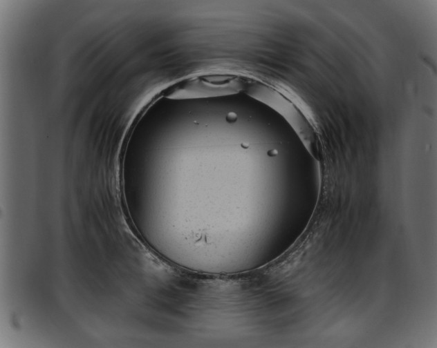 X0000096730996200802121310