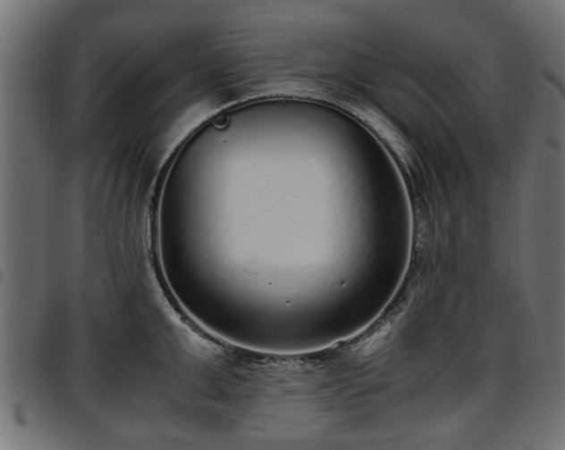 X0000096730999200802121310