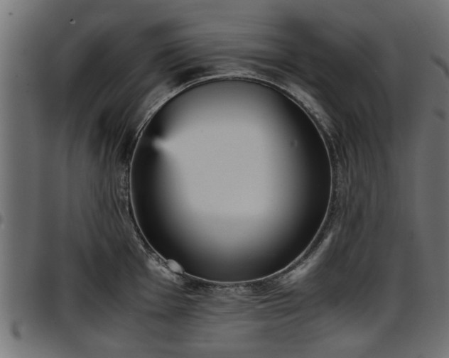 X0000096731001200802121310