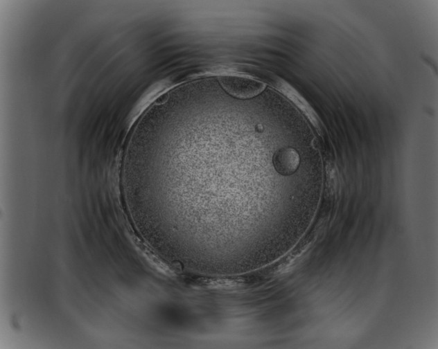X0000096731002200802121310