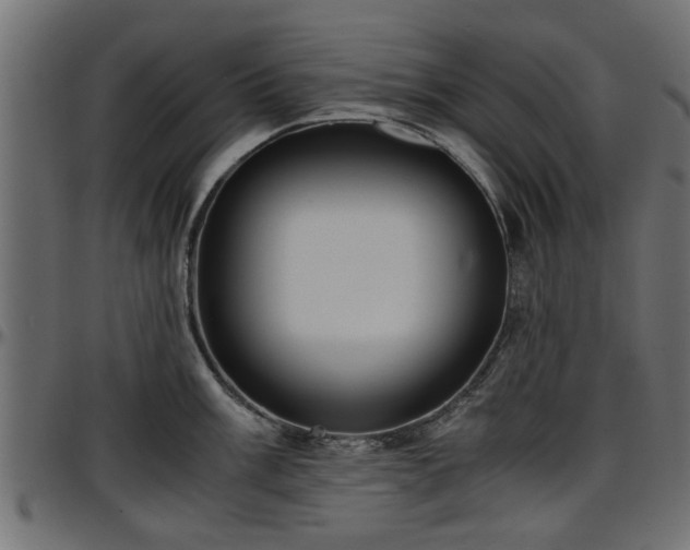 X0000096731003200802121310