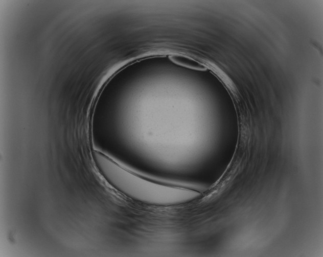 X0000096731004200802121310