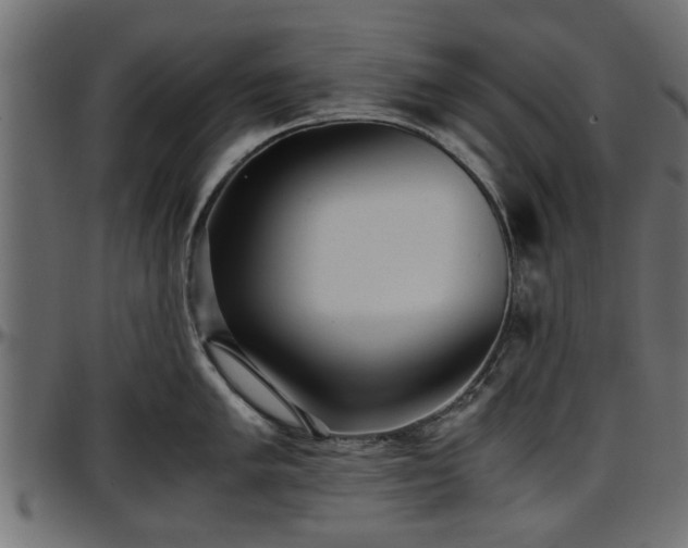 X0000096731005200802121310
