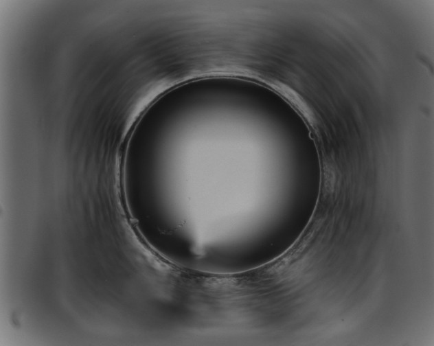 X0000096731006200802121310