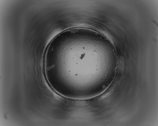 X0000096731007200802121310